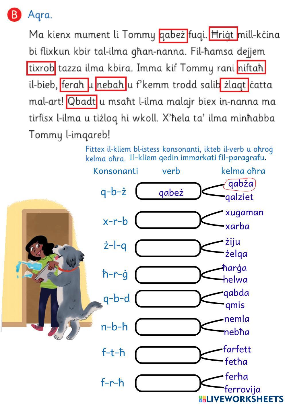 Tikka_4b_ez_b_p55.pdf
